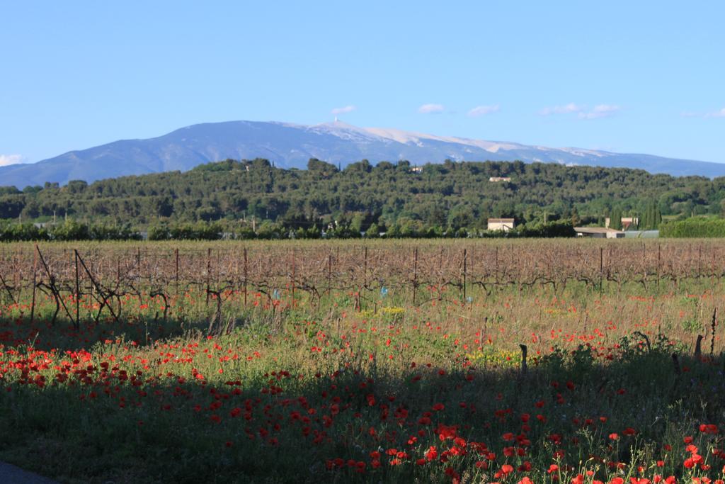 Gite Les Feuilles De Chene Carpentras Exterior photo